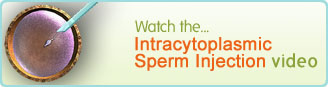 Video de Inyección Intracitoplásmica de Espermatozoides
