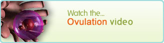 Video sobre ovulación