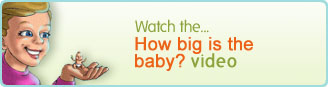 Niños - ¿De qué tamaño es el bebé?