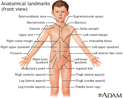 Where are your flanks located on the body? (Photo)