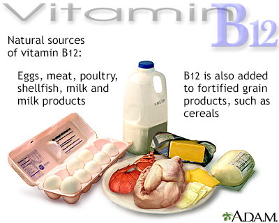 Vitamin B12 source