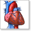 Amebic liver abscess