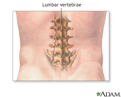 Lumbar vertebrae