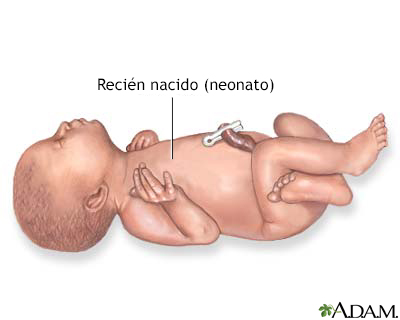 Tóxicos que el niño y el bebé absorben por la piel - Natalben